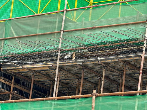 钢木龙骨 现代建筑工程中的环保建材革新